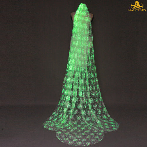 Glow in the dark long Cathedral Wedding Veil - LeaAntiquity